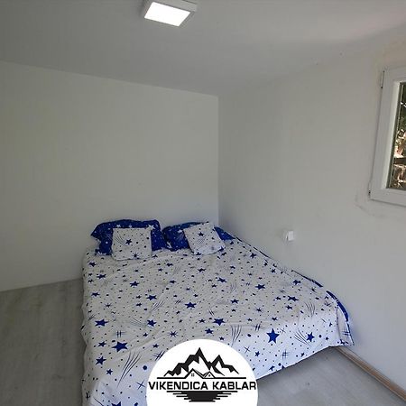 Ovcarkablar Vikendice Βίλα Meduvrsje Εξωτερικό φωτογραφία